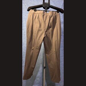 ALFANI Pants Brown Size 16p